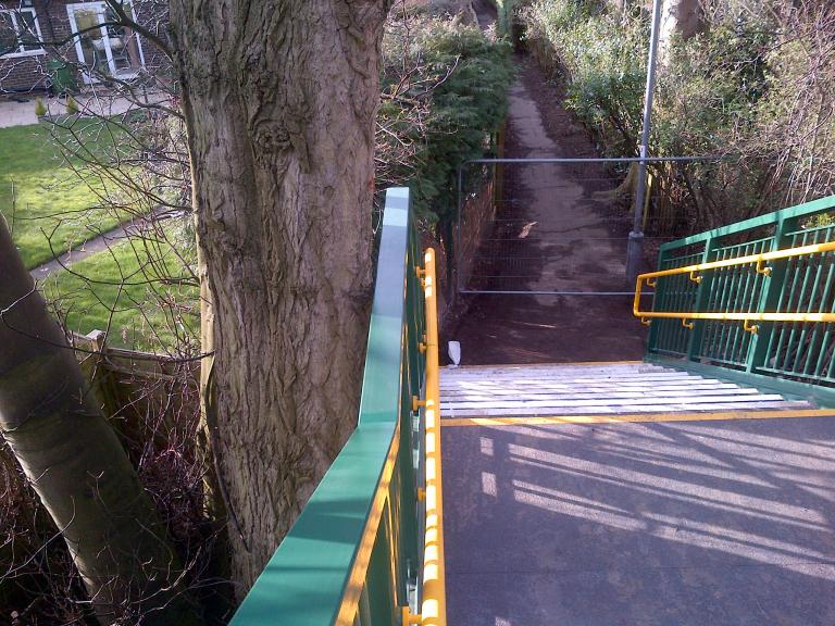 Bridge stairs 22mm from the existing tree !!!